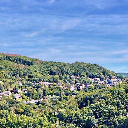 Natur Panorama Suiten Am Rursee Heimbach Extérieur photo